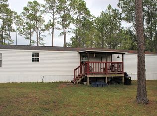 46 Coriander Ter, Middleburg, FL 32068