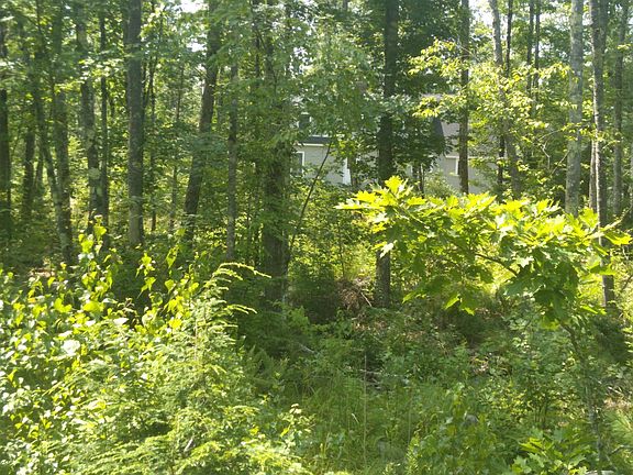 5th image of Lot #1 Harry Howes Road