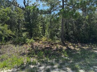 Crider Rd LOT 3, Brooksville, FL 34614