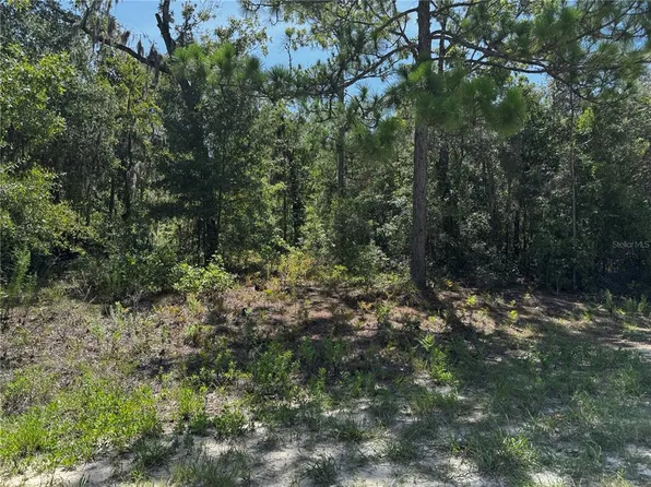 Crider Rd Lot 3, Brooksville, FL 34614