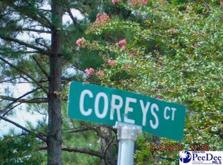 2068 Coreys Ct, Dillon, SC 29536