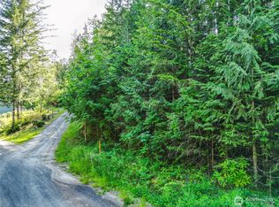 0 Creek Ct, Brinnon, WA