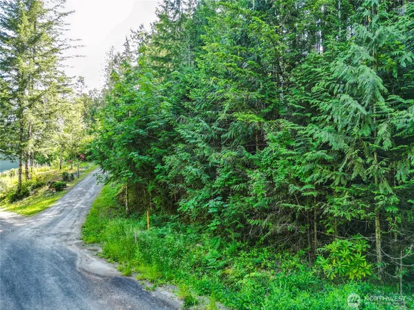 0 Creek Court, Brinnon, WA 98320