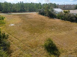 1024 Flying M Ct, Edgewater, FL 32132