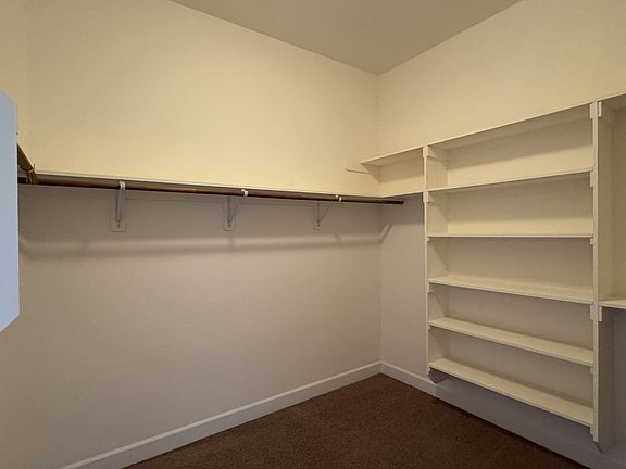 Master Bathroom closet