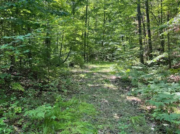 211 Logging Cir, Leroy, MI 49655