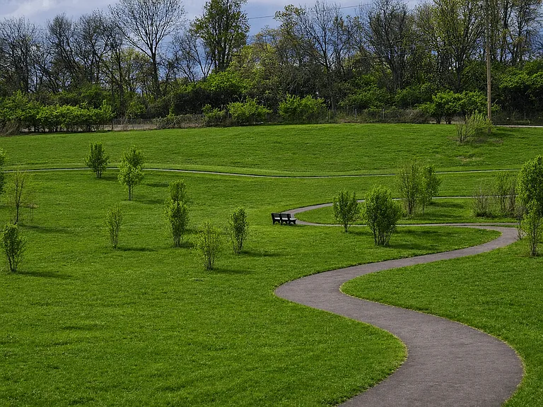 Reserve at Palmer Pointe — Photo 30