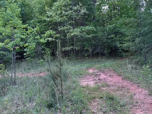 668 Brookdale Rd, Toccoa, GA 30577