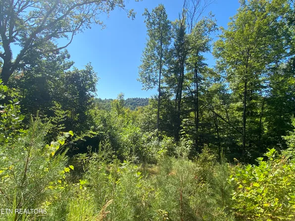 Double Top Rd, Jamestown, TN 38556