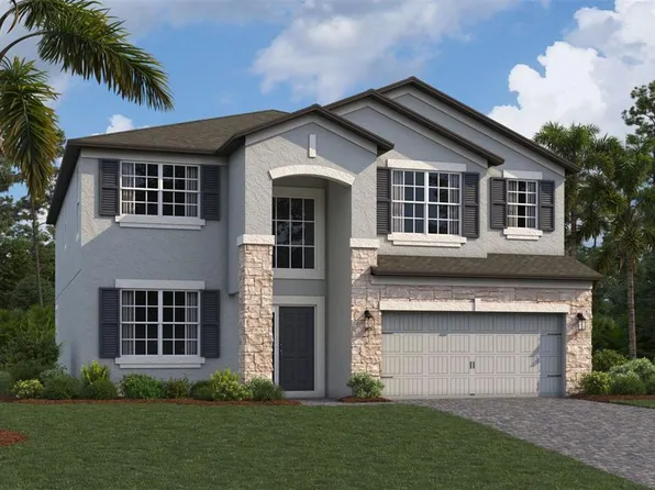 10667 New Morning Dr, Tampa, FL 33647