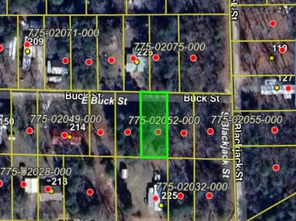 E Buck St, Lead Hill, AR 72644