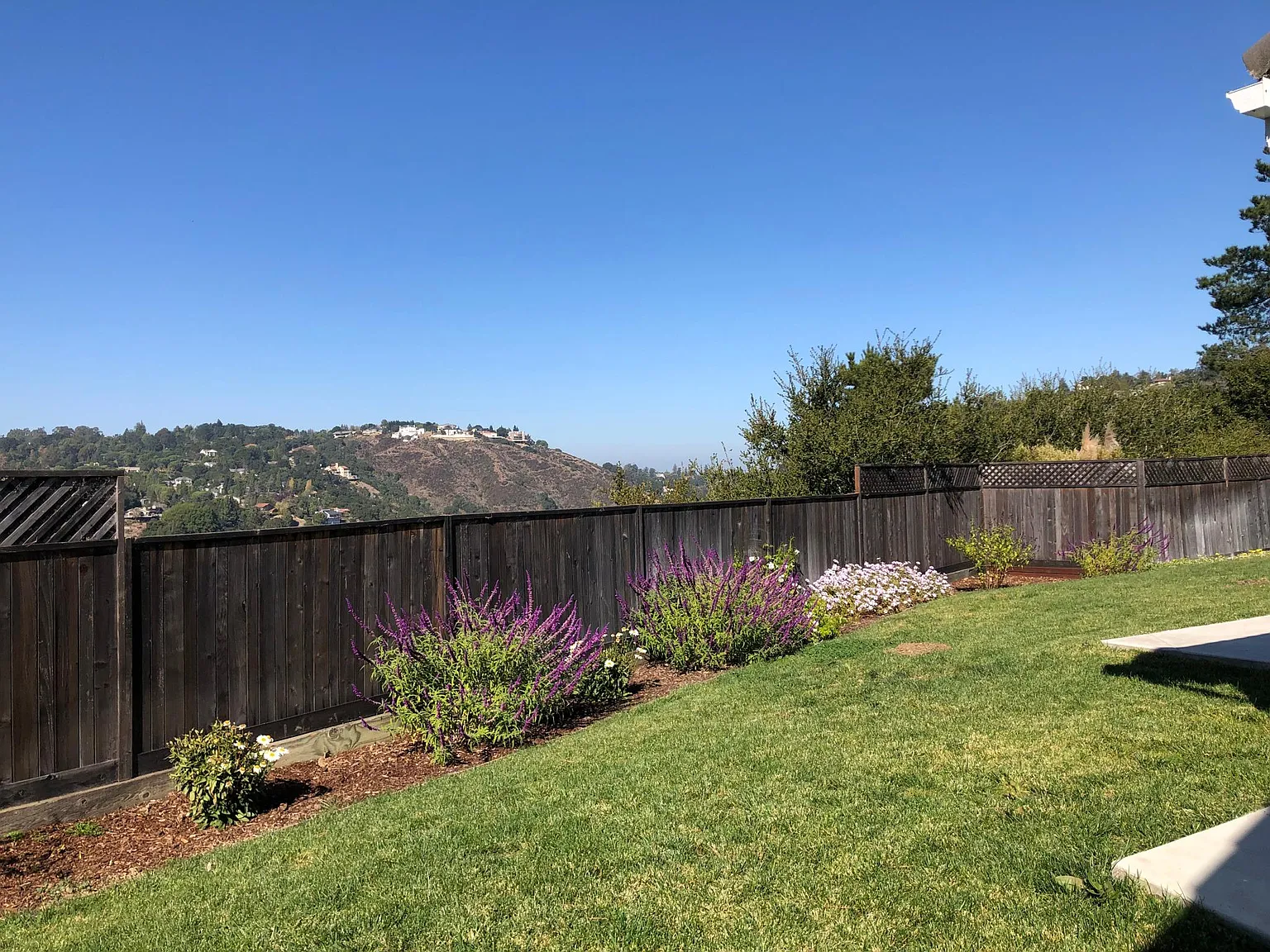 1342 Rainbow Dr photo 1