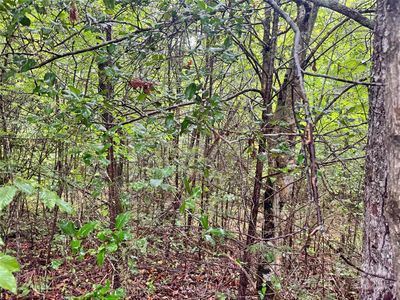 3680 Grandview Dr #22, Morganton, NC, 28655