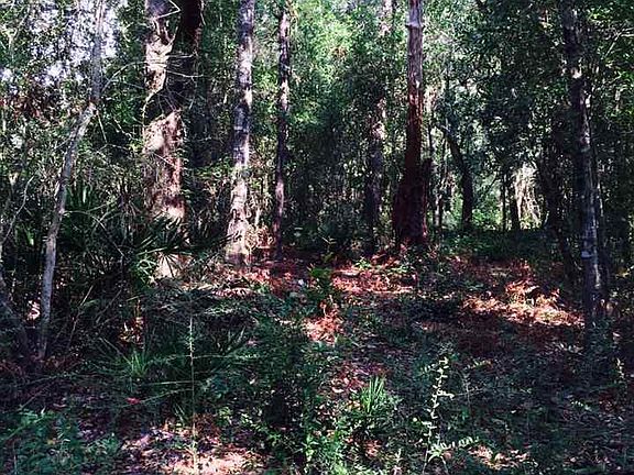 5th image of 13388 Lillian Hwy