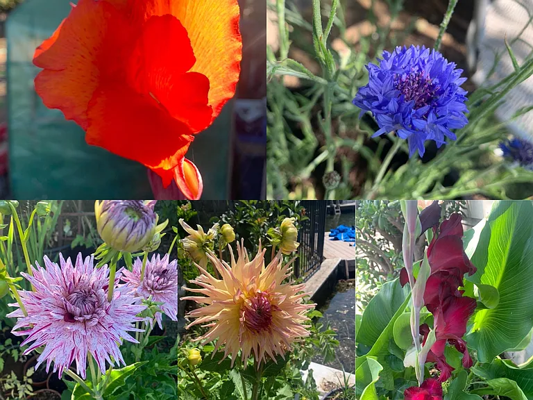 gardens