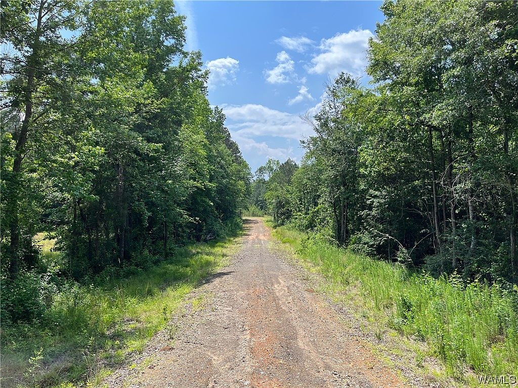 0 Highway 43 N, Northport, AL 35475 MLS 157073 Zillow