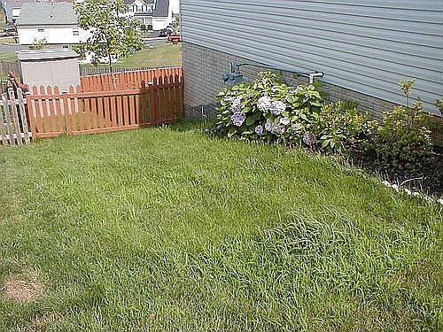 Left Sideyard