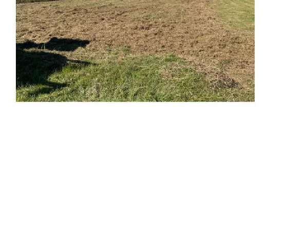 98 Baylake Drive, Chocowinity, NC 27817