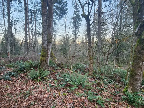 23509 140th Avenue E, Graham, WA 98338