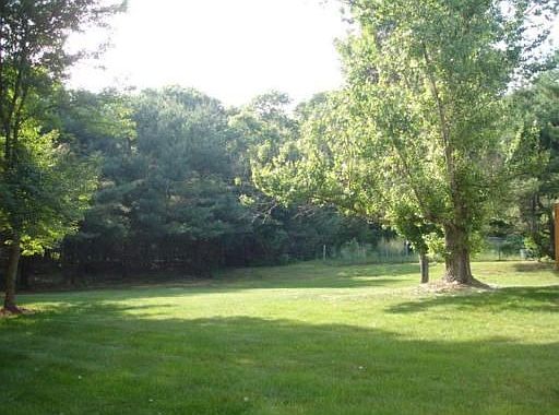 Back Lawn