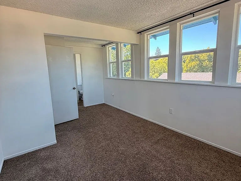 215 Semple St — Photo 27