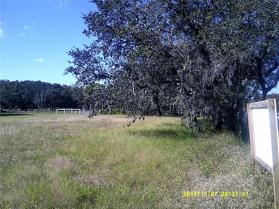 5th image of 15300 State Road 52