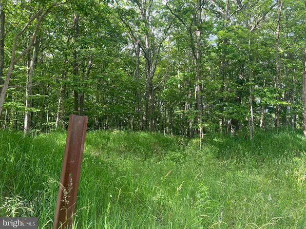7935 Maryland Hwy, Swanton, MD 21561
