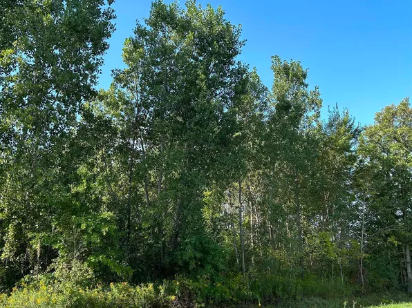 Lake Rd, Montrose, MI 48457