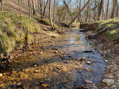 0 Lonesome Pine Rd, Savannah, TN, 38372