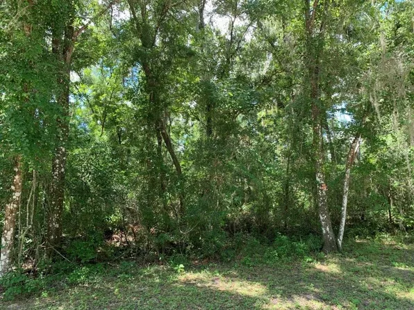 7329 PACKINGHAM DRIVE, WEBSTER, FL 33597