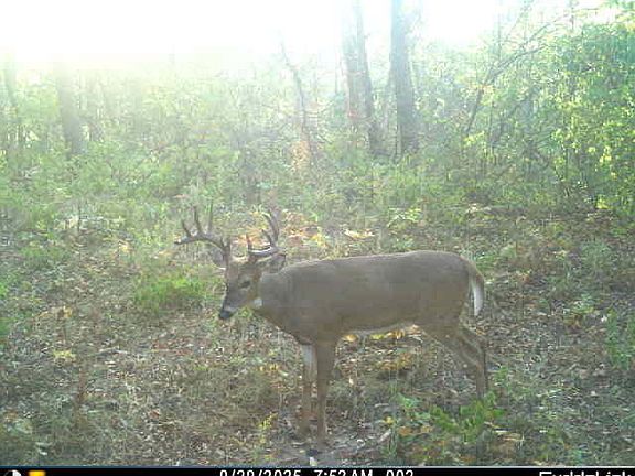 4th image of 2 County Road 525 N