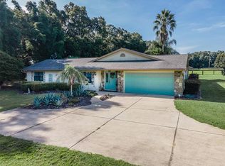 1968 SE 150th St, Summerfield, FL 34491