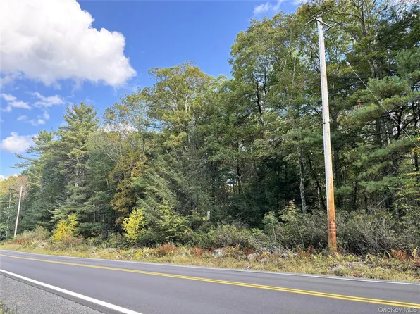 (Lot 14) Crystal Lake Rd,  Co Hwy 26, Bethel, NY 12720
