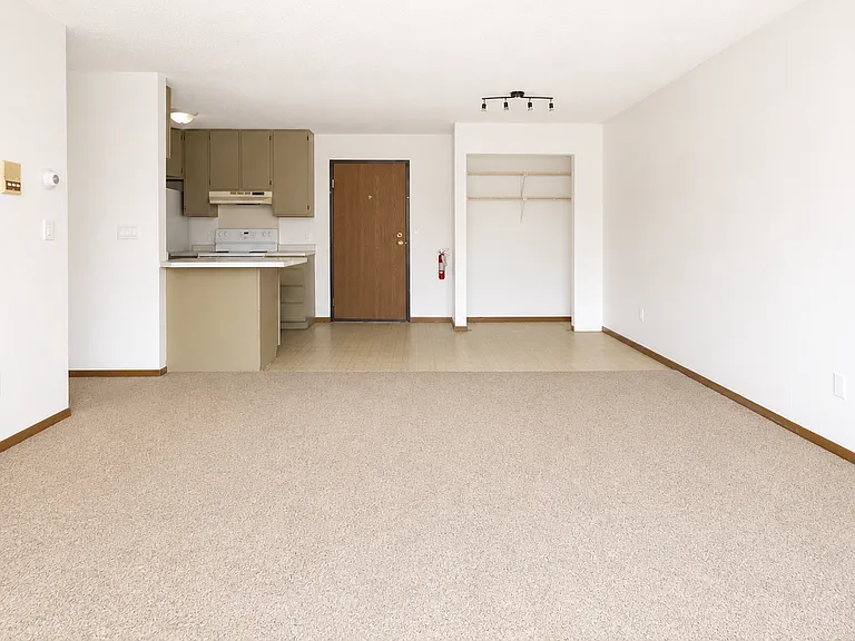 315 4th Ave S #303 — Photo 3