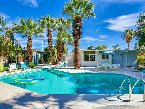 Gorgeous, Mature Palm Trees 