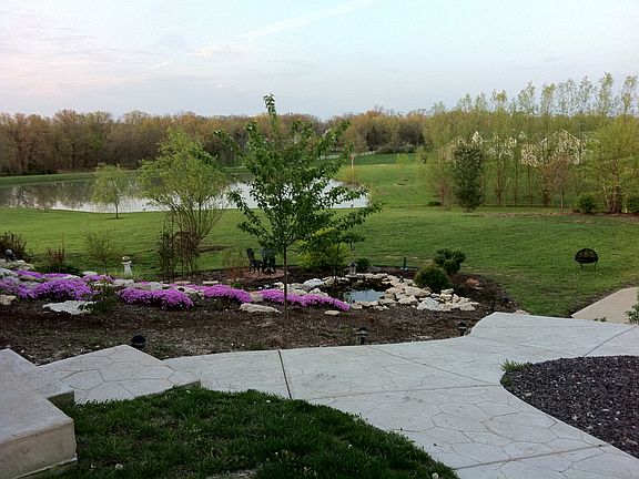 Back yard and pond