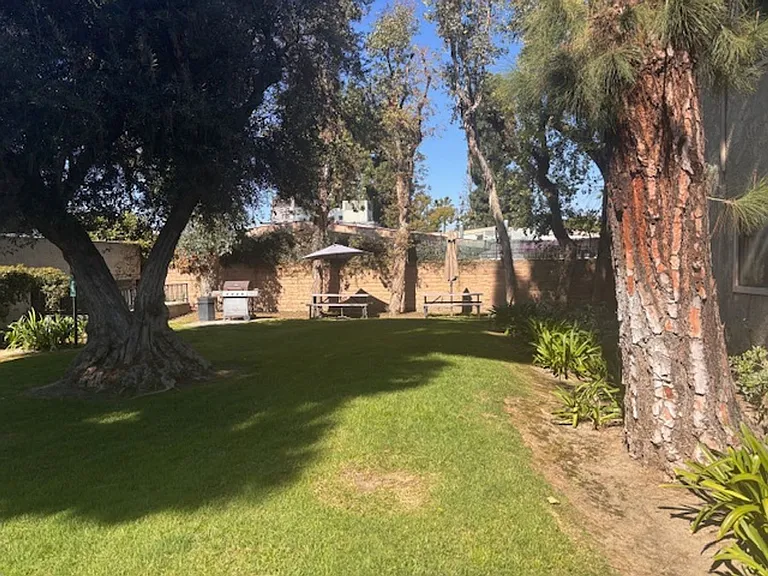 Los Arboles — Photo 35