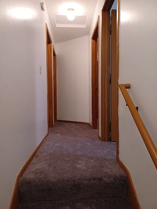 3 bed, 1.5 bath, 1000 sqft, $2,400 — Photo 3