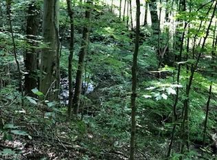 10184 Stamm Rd, Mantua, OH 44255