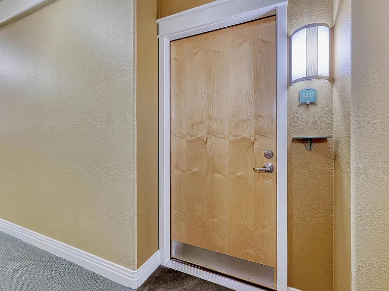 10176 Park Meadows Dr #2217 — Photo 11