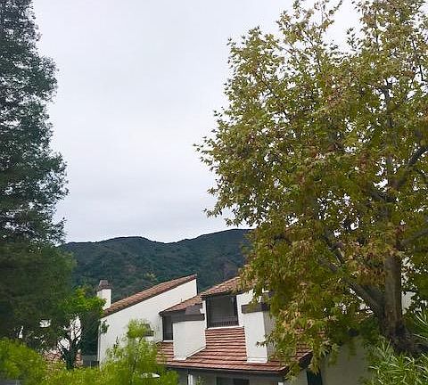 2nd image of 1576 Palisades Dr