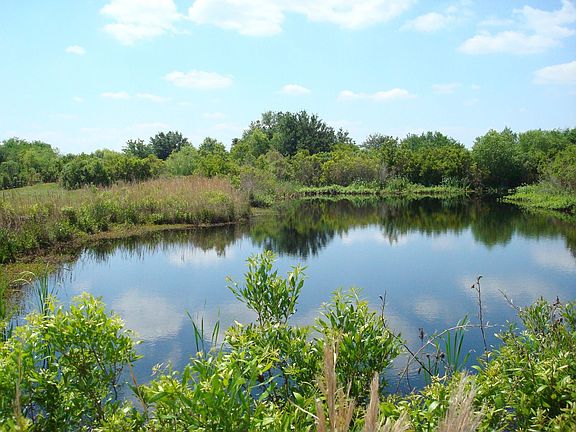 Pond 