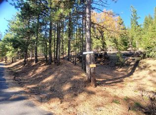 27109 Dew Drop Rd, Pioneer, CA 95666