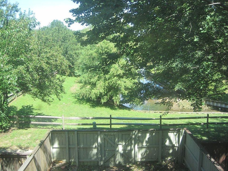 backyard view