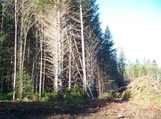 13 E Pathfinders Dr LOT E, Belfair, WA 98528