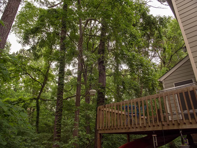 210 Cedarwood Ln — Photo 18
