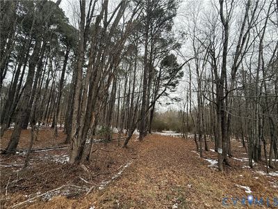 16410 John Tyler Memorial Hwy Lot 8.85, Charles City, VA, 23030