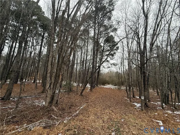 16410 John Tyler Memorial Hwy Lot 8.85, Charles City, VA 23030