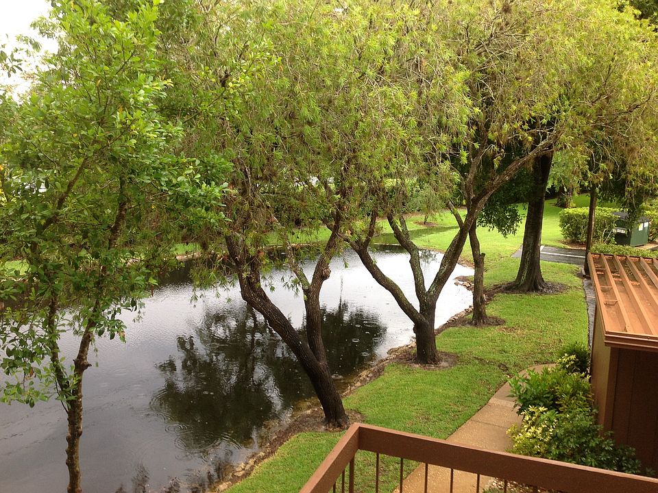 This is the view of the pond from three of the east windows