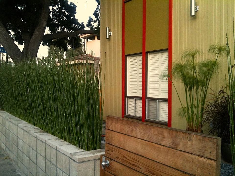2nd image of 134 Bennett Ave
